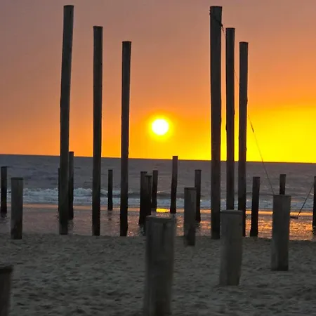 Vakantiehuis Safari Petten